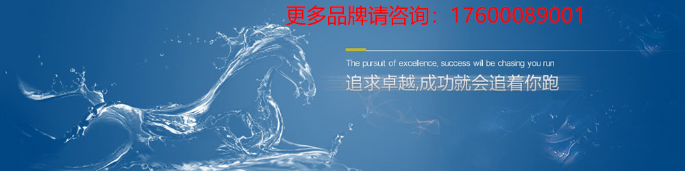 索瑞森蓄電池